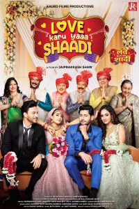 Download Love Karu Yaaa Shaadi (2025) Hindi PreDVD Full Movie 480p 720p 1080p